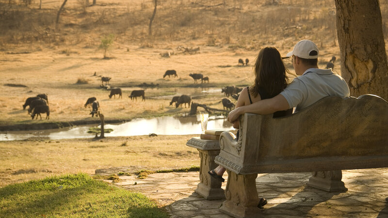 Amazing safari met z'n twee in Zuid-Afrika