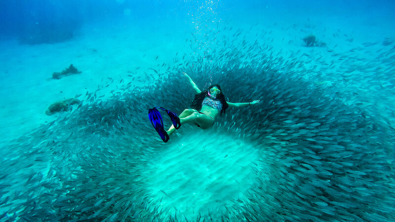 Antillen-Curacao-duiken