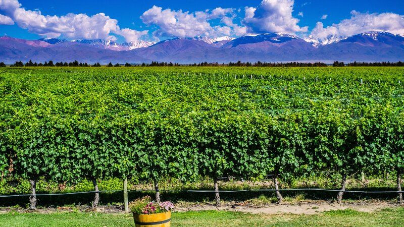 Argentinië - Mendoza - wijnstreek (1)