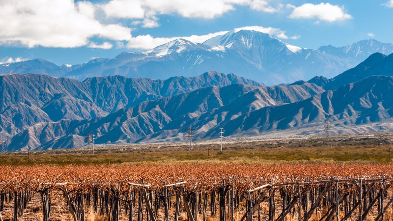 Argentinië - Mendoza - wijnstreek (6)