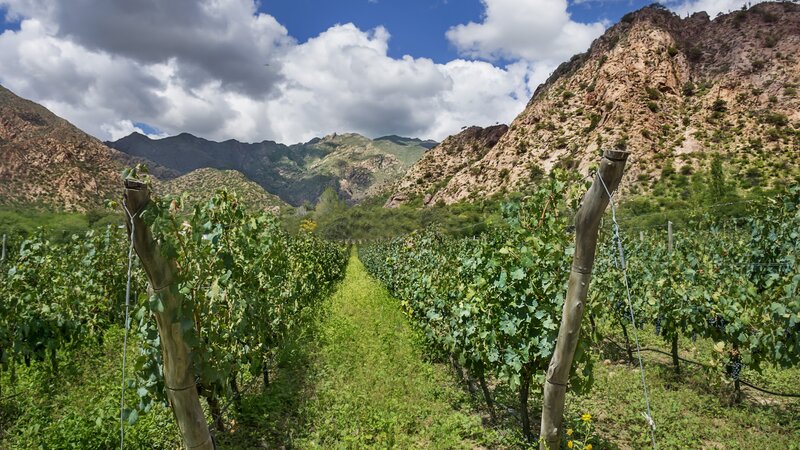 Argentinië - Salta - Jujuy (3)