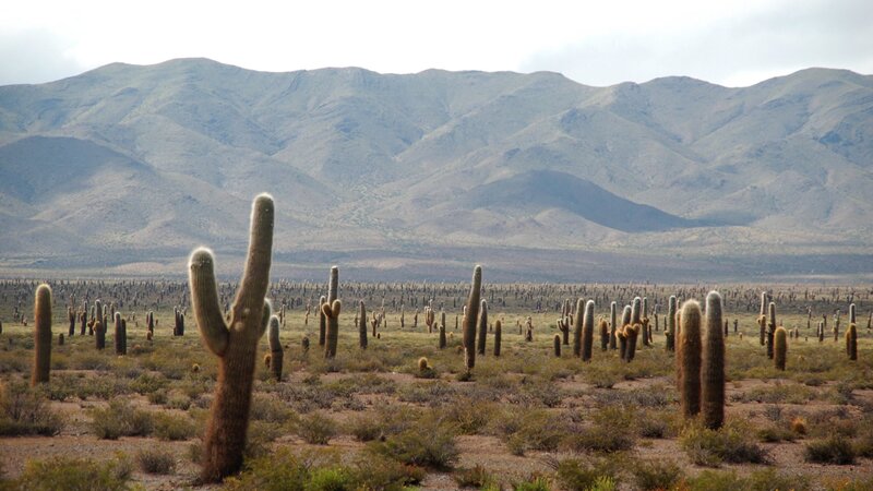 Argentinië - Salta - Jujuy (9)