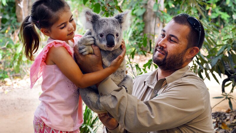 Australië - Koala's (1)