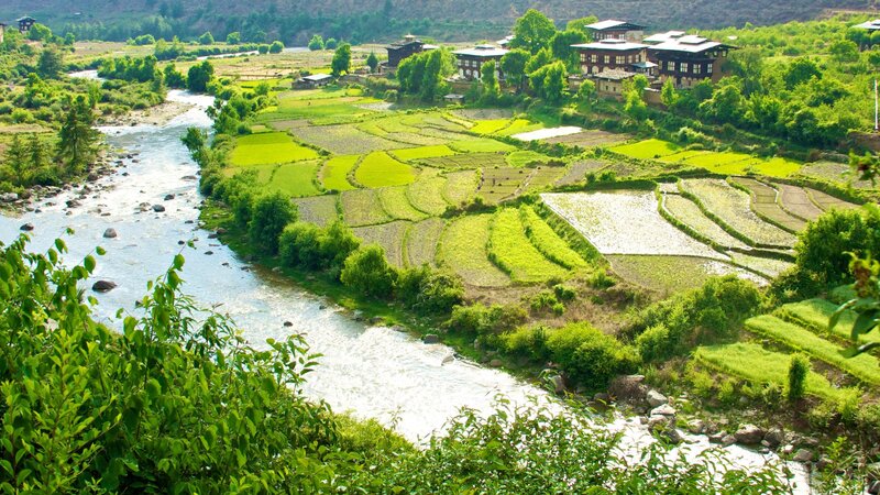 Bhutan-algemeen-rijstvelden