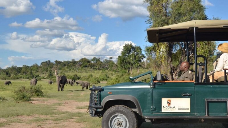 Botswana-Chobe-National-Park-Chobe-Ngoma-Safari-Lodge-jeep