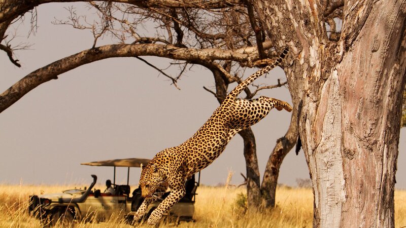 Botswana-Chobe-Okavango Delta-Shinde-National-Park-wildlife (1)