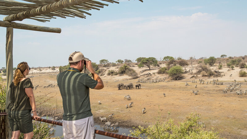 Botswana-Makgadikgadi-Leroo-La-Tau-wild