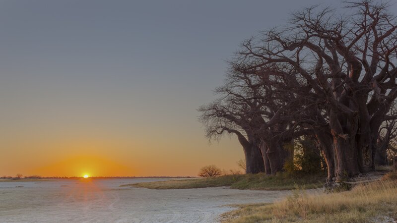 Botswana-Makgadikgadi zoutpannen (4)