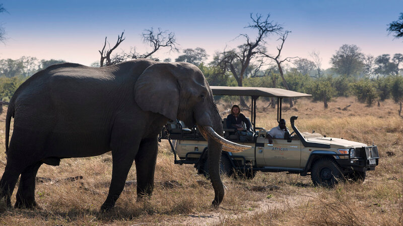 Botswana-Moremi-Game-Reserve-Khwai-Leadwood-Camp-jeep
