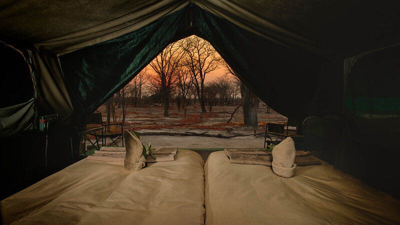 Botswana-Moremi-Hyena Pan Tented Camp9
