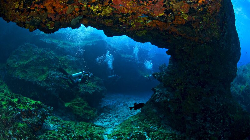 Brazilië - Fernando de Noronha - duiken (7)