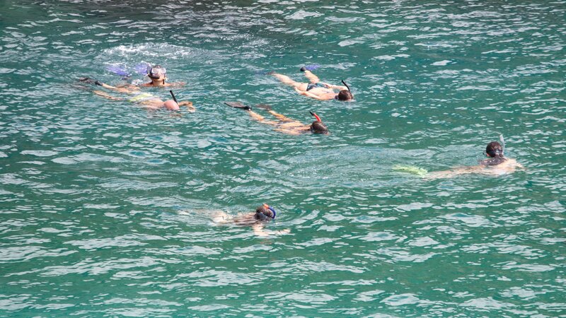 Brazilië - Fernando de Noronha - duiken (8)