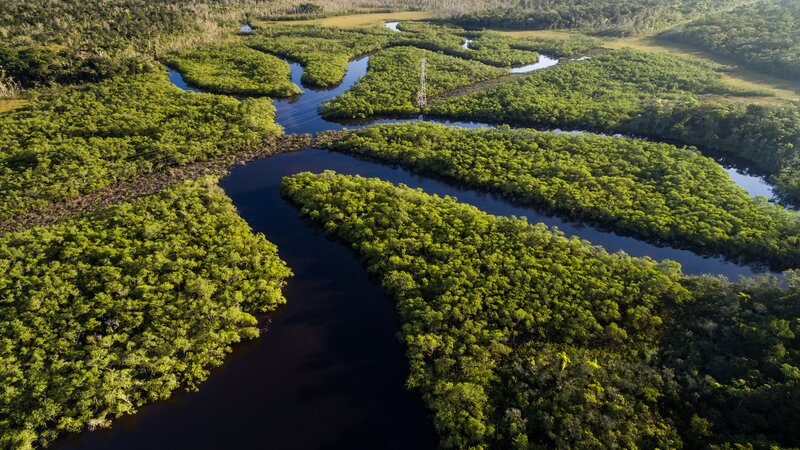 Brazilië - Manaus – Amazonia (1)