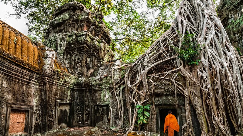 Cambodja-Siem Reap-hoogtepunt-Ta Prohm
