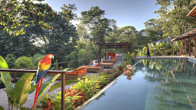 Costa-Rica-Arenal-Hotel-Nayara-Springs-zwembad