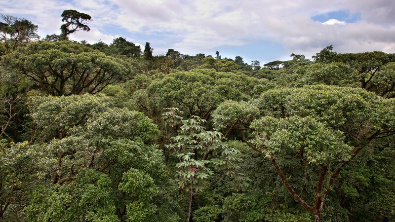 Costa rica - Canopy tour - deathride - Arenal - monteverde (4)