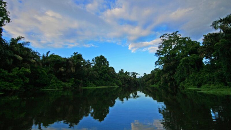 Costa Rica - Limón - Tortuguero - Manatus lodge (9)