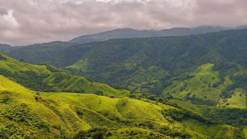 Costa Rica - Nevelwoud - Monteverde (3)