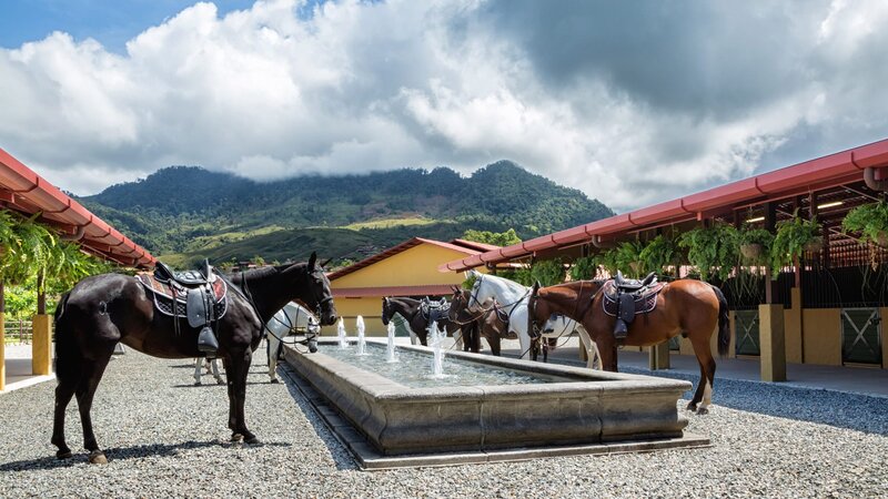 Costa-Rica-Perez-Zeledon-Hotel-Hacienda-AltaGracia-paarden