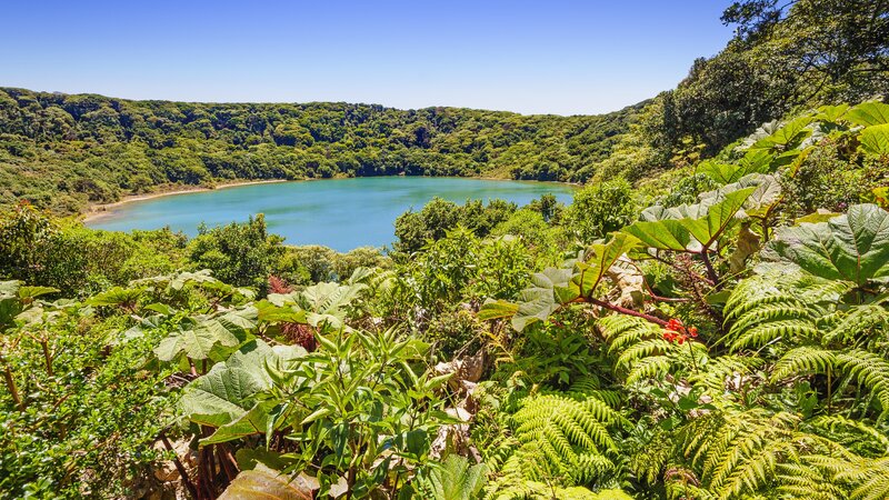 Costa Rica - Poas Vulcano  (4)