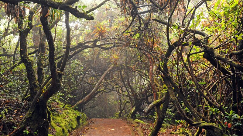 Costa Rica - Poas Vulcano  (7)