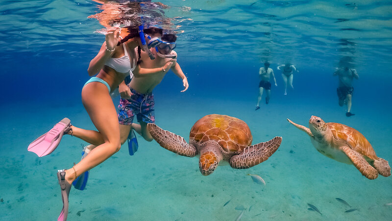 Curaçao-klein Curaçao-zwemmen met schildpadden