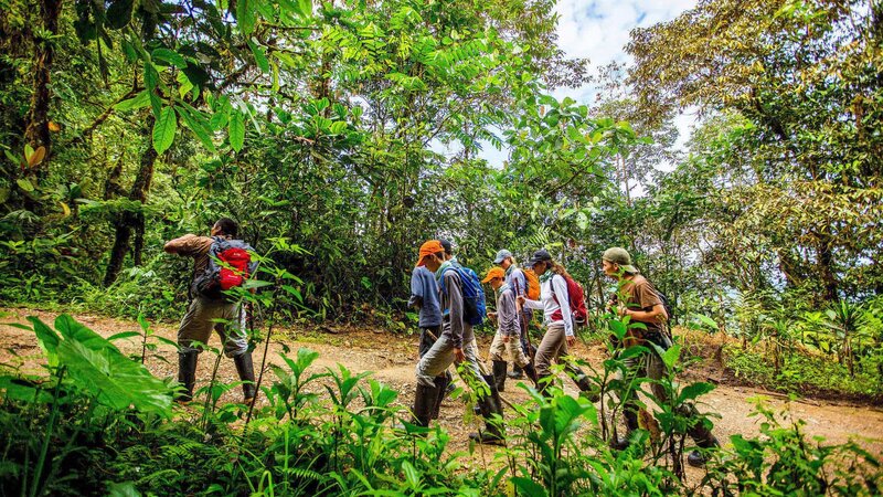 Ecuador - Mashpi - Cariaco - Mashpi lodge - Amazone (14)