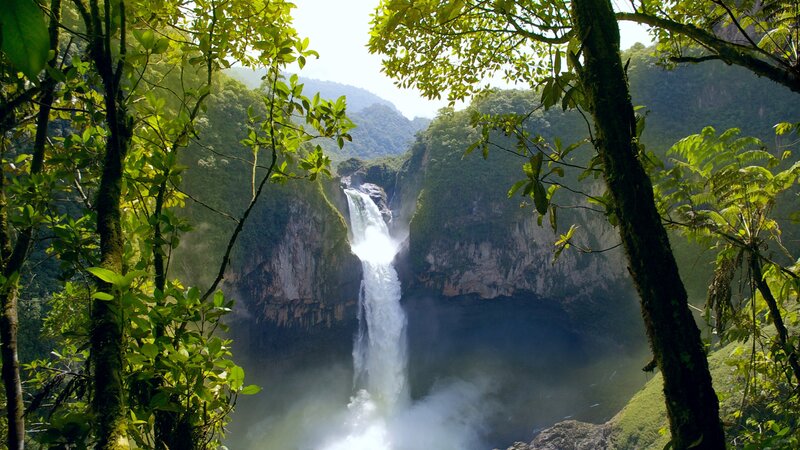 Ecuador - San Rafael Falls - amazon