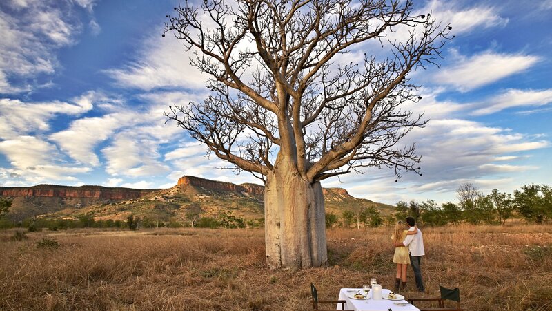 El-Questro - Homestead - Boab tree - Australië (7)
