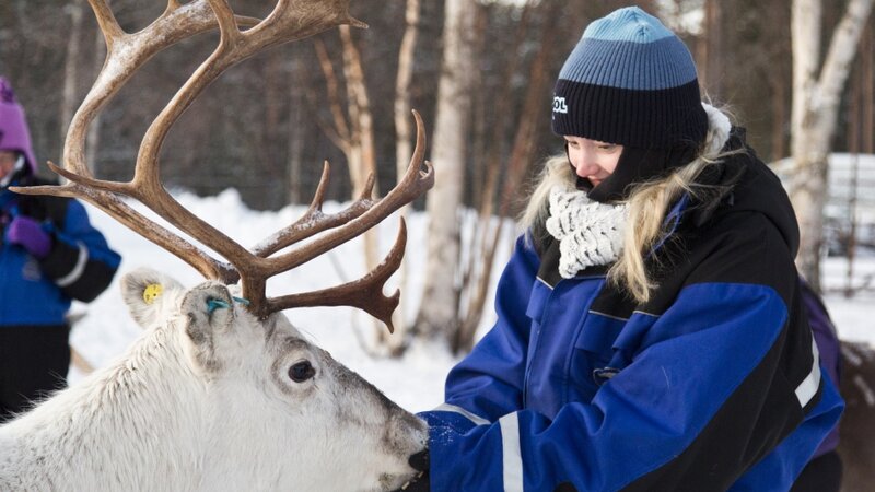 Amazing familiereis in Fins Lapland