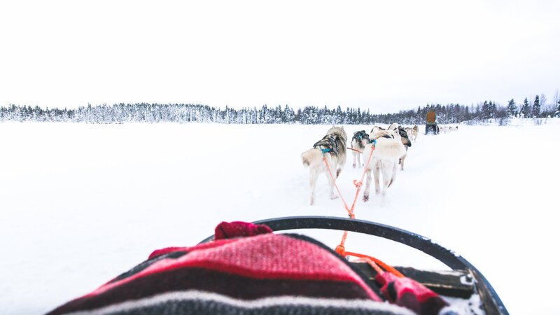 Finland-Zweden-Lapland-Levi-husky-safari