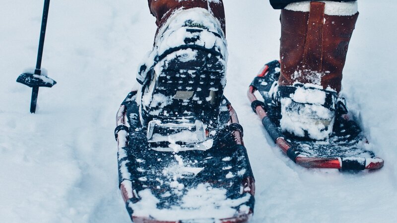 Finland-Zweden-Lapland-sneeuwschoen-Levi-wandelen (2)
