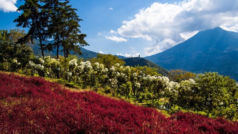 Guatemala - Antigua (5)