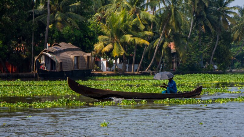 India-Kochi-Backwaters 2