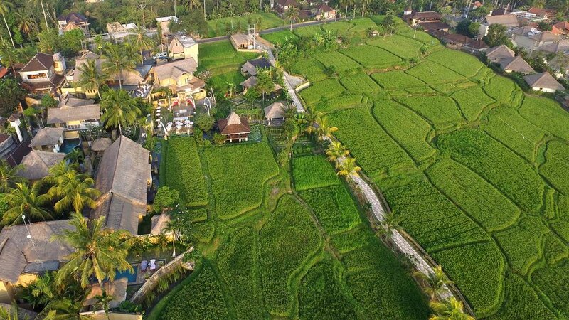 Indonesië-Ubud-Wapa-di-Ume-Ubud-luchtfoto