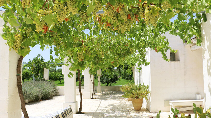 Italie-Masseria-Potenti-Terras-2