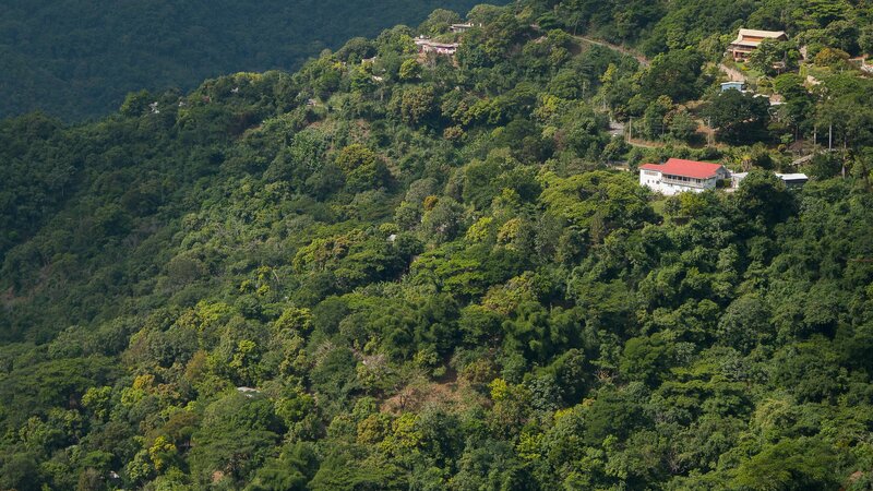 Jamaica-Blue Mountains (1)