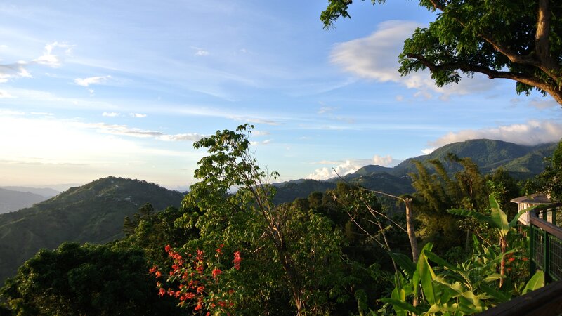 Jamaica-Blue Mountains (2)