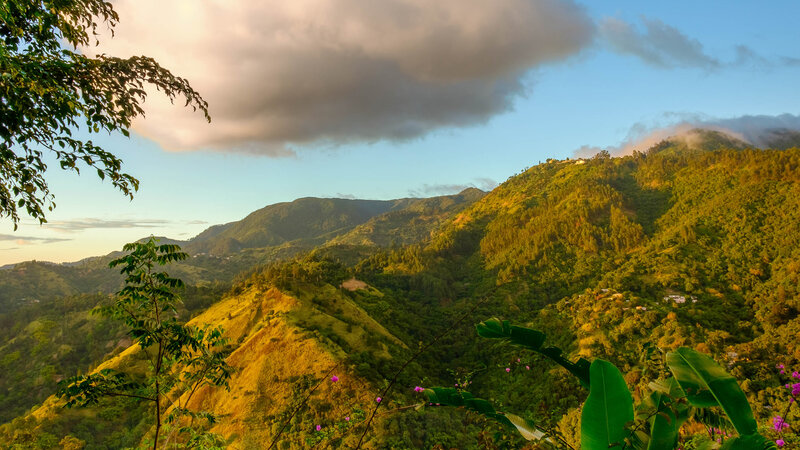 Jamaica-Blue Mountains-algemeen-3