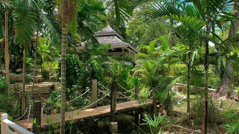 Jamaica-Ocho Rios-Hibiscus Lodge-tuin