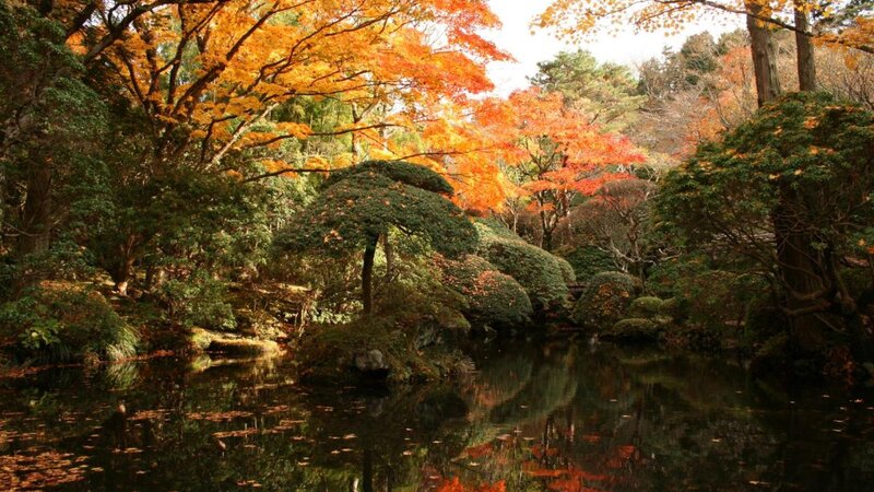 Japan-Hakone-Hotels-Senkyoro-Ryokan-tuin-omgeving