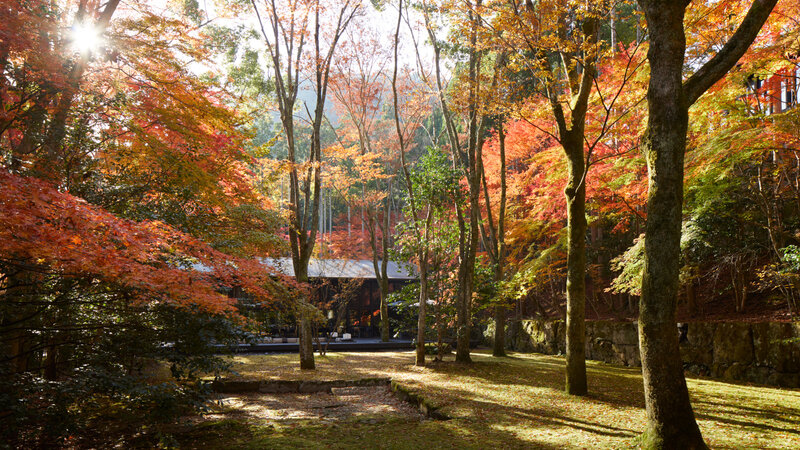 Japan-Kyoto-Hotels-Aman-Kyoto-natuur