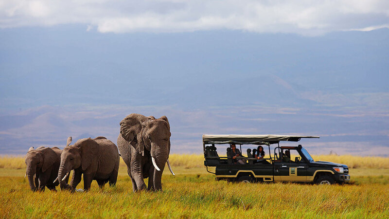 Kenia-Amboseli National Park-Elewana Tortilis Camp-game drive