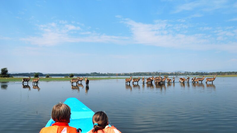 Kenia-Lake Naivasha-hoogtepunt