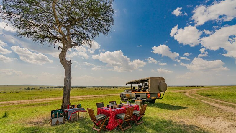 Kenia-Masai Mara-Emboo River Camp-pikcnick in de bush 2-min