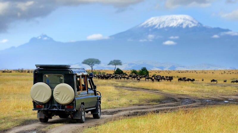 Kenia-Masai Mara-hoogtepunt-game drive