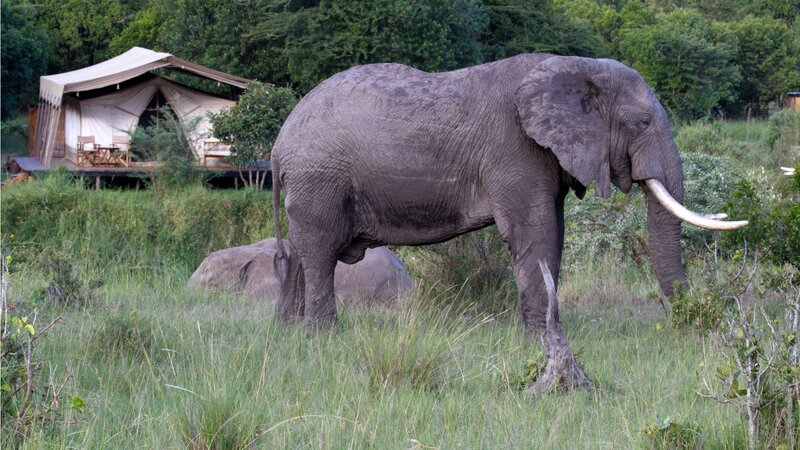 Kenia-Masai Mara-Hotel Karen Blixen Camp (27)