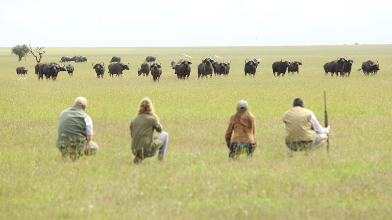 Kenia-Ol Pejeta-Ol Pejeta Bush Camp-walking safari