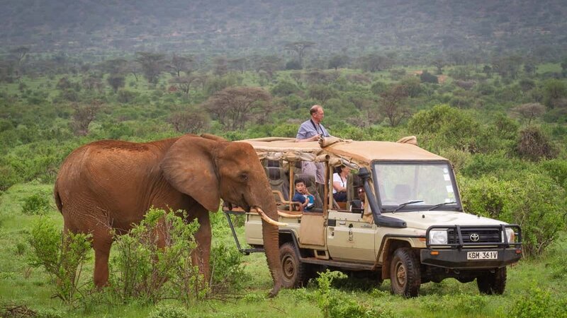Kenia-Samburu Game Reserve-Elephant Bedroom Camp-game drive