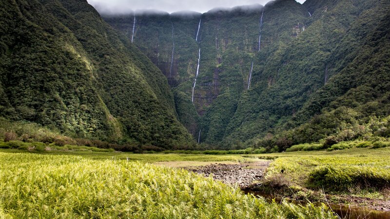 La Reunion-algemeen-groen landschap